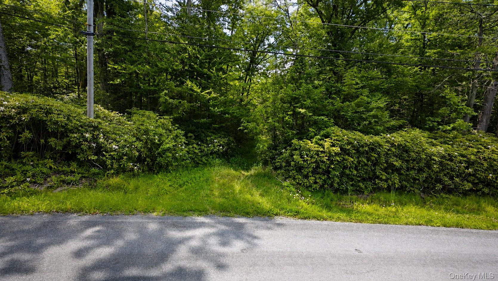 Taylor Road – For Sale photo 4