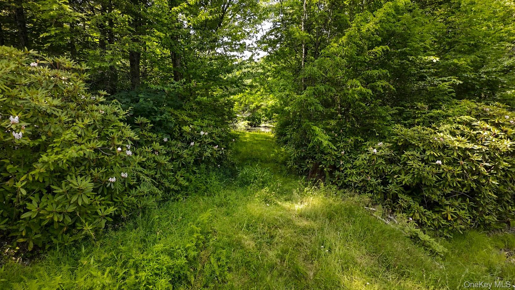 Taylor Road – For Sale photo 3