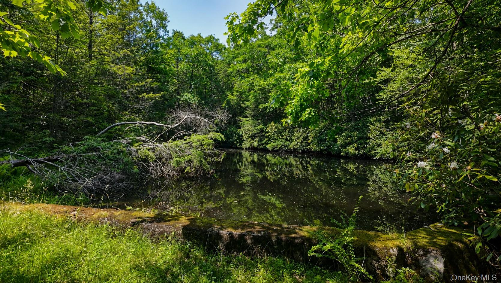 Taylor Road – For Sale photo 9