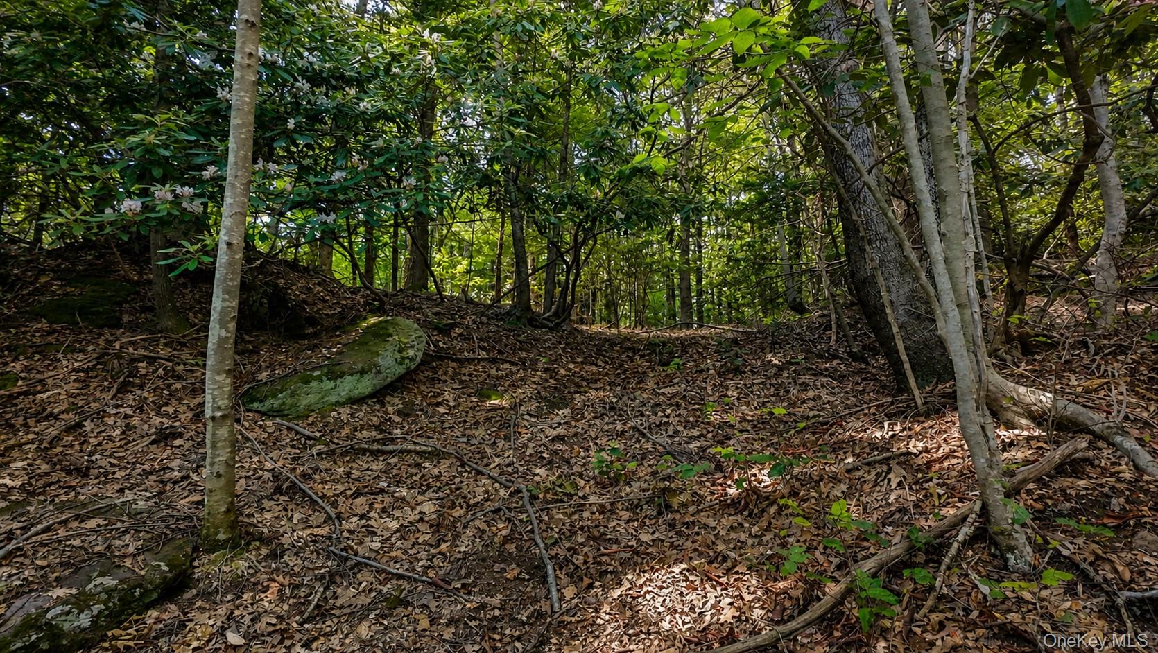 Taylor Road – For Sale photo 5