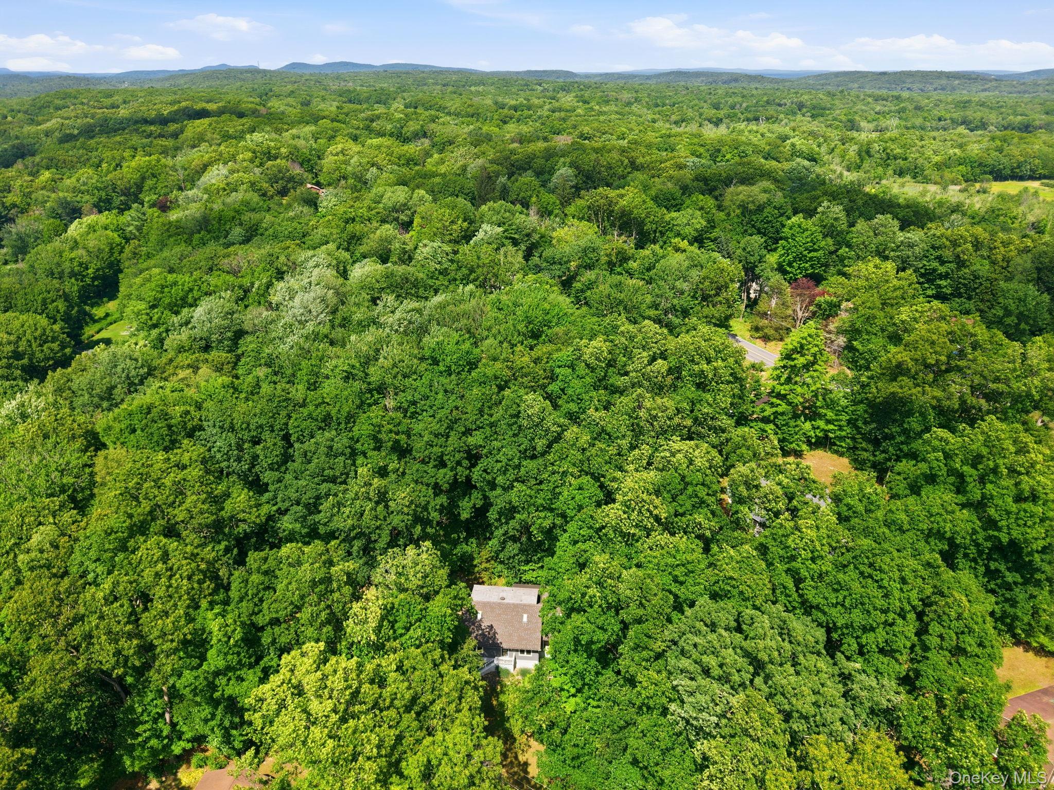 3 Dogwood Hollow – For Sale photo 30