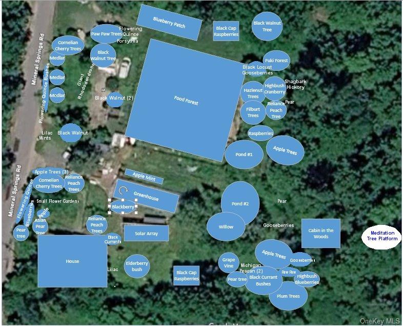 64 & 68 Mineral Springs Road – For Sale photo 40