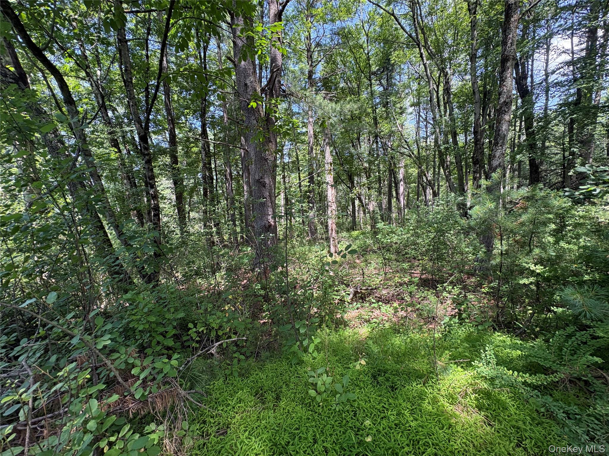 Belair Road – For Sale photo 4