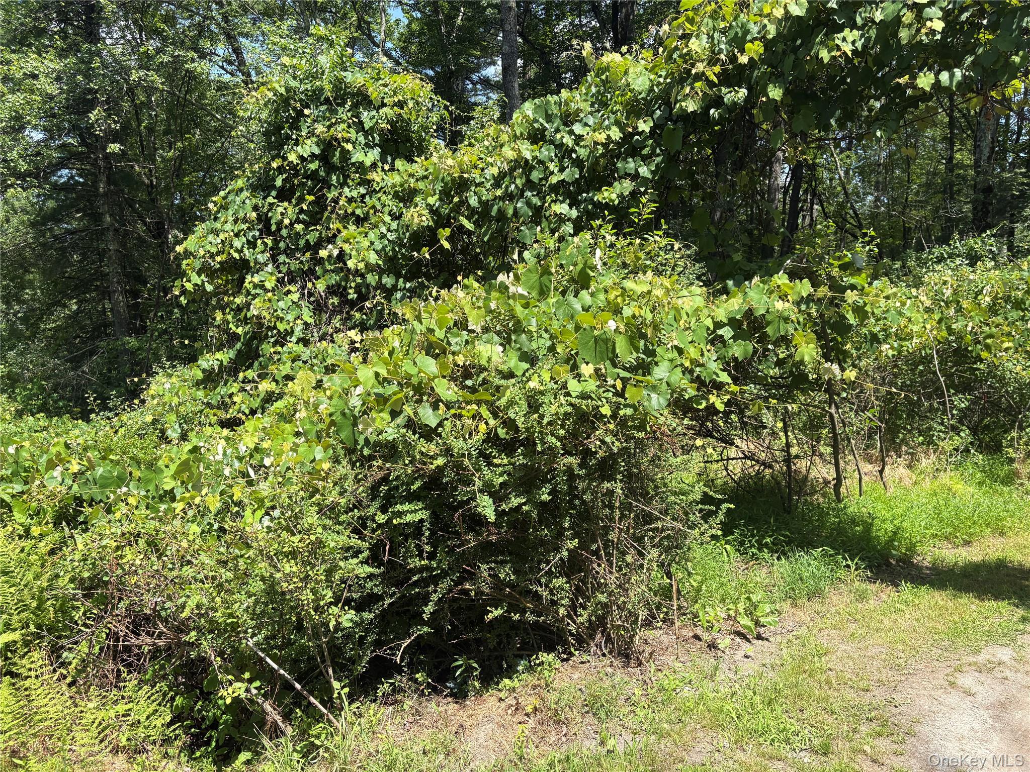 Belair Road – For Sale photo 2