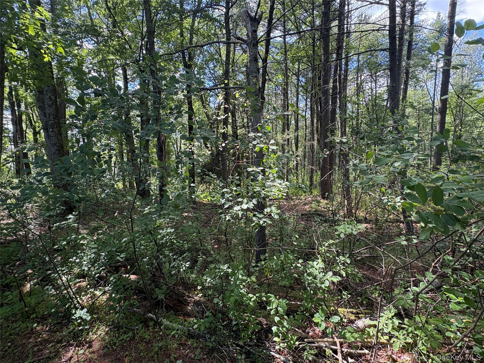 Belair Road – For Sale photo 8