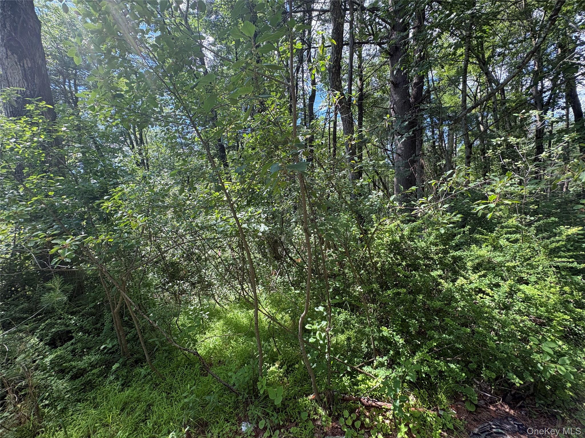 Belair Road – For Sale photo 13