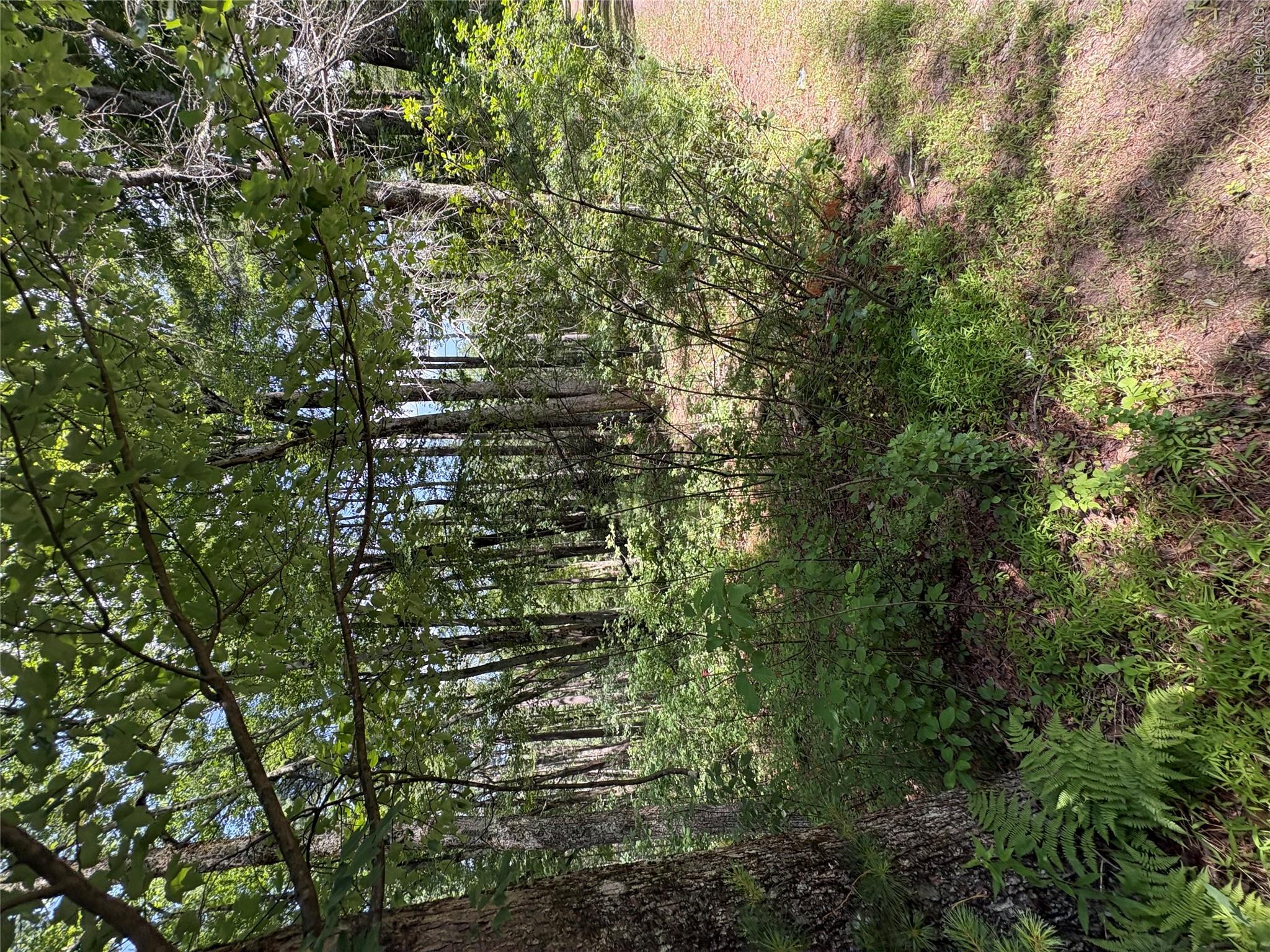 Belair Road – For Sale photo 5