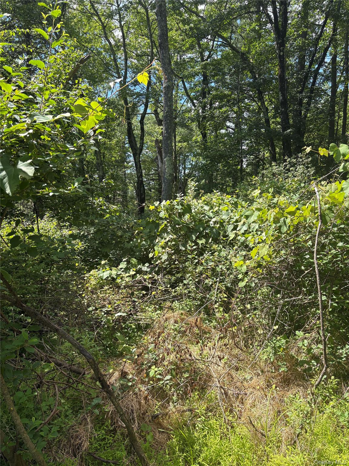 Belair Road – For Sale photo 14