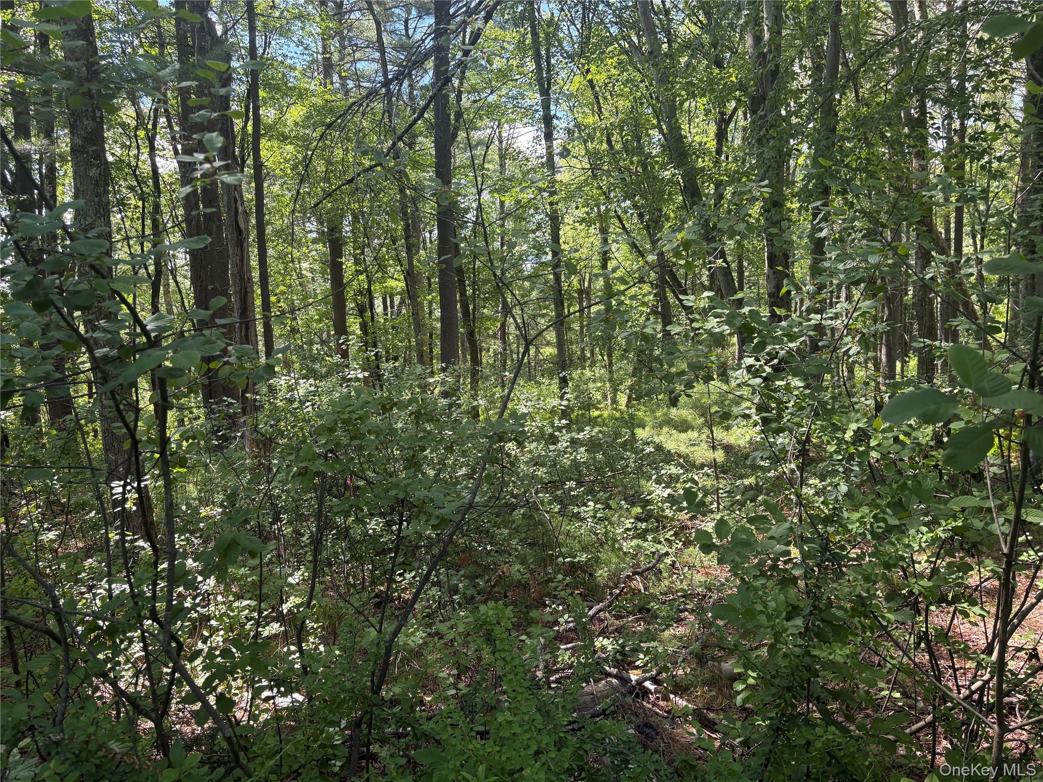 Belair Road – For Sale photo 11