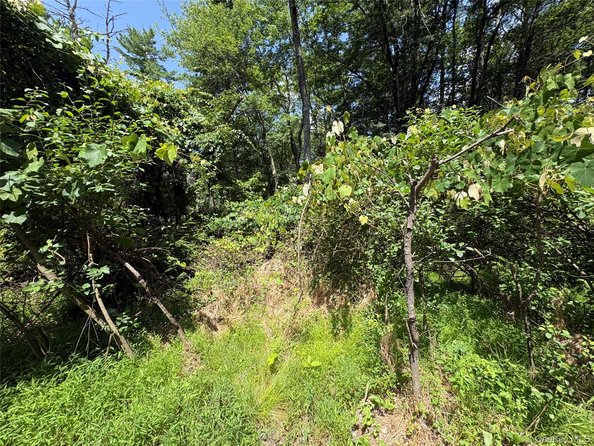 Belair Road – For Sale photo 3