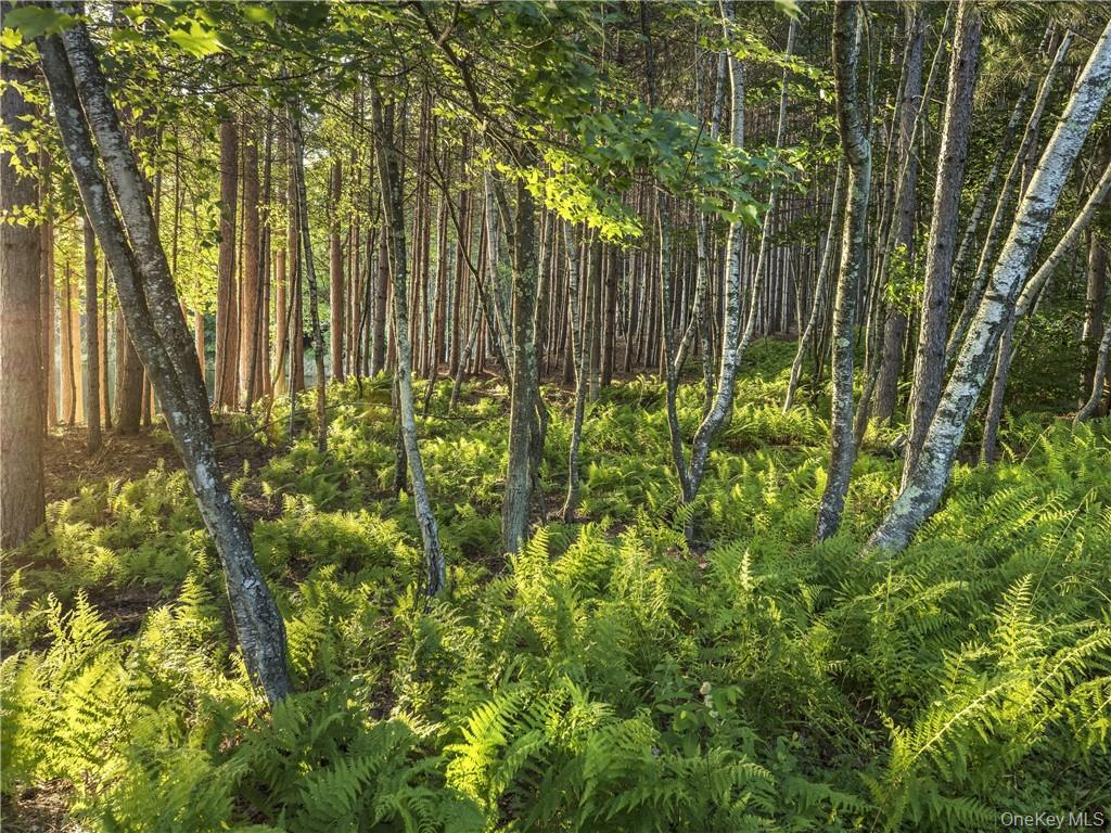 Lot 2 Chapin Trail – For Sale photo 8