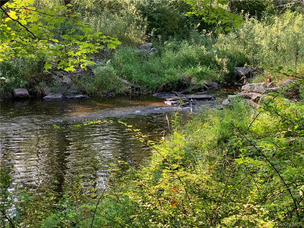 Lot 2 Chapin Trail – For Sale photo 6