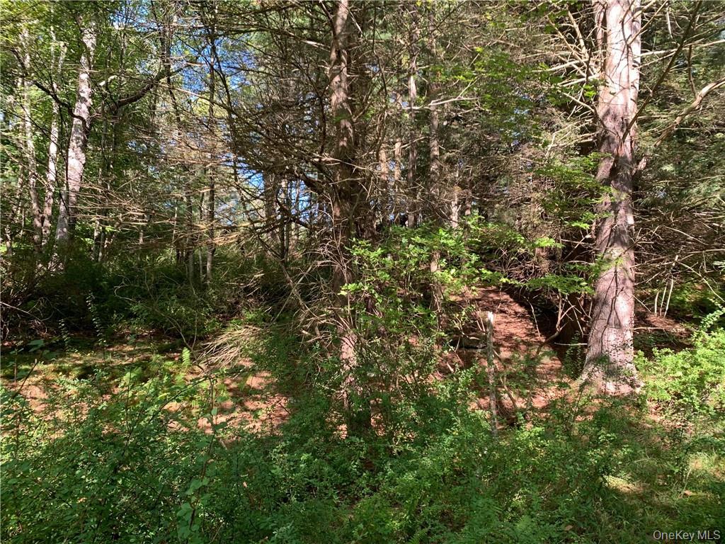 Lot 2 Chapin Trail – For Sale photo 5