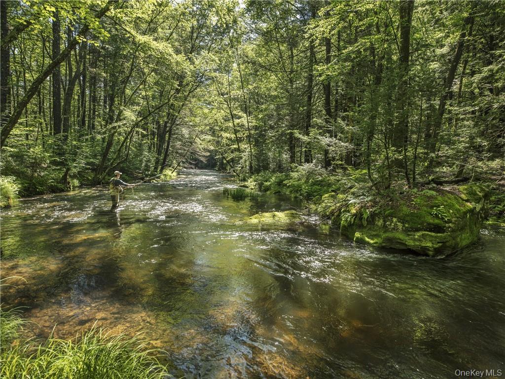 Lot 2 Chapin Trail – For Sale photo 13