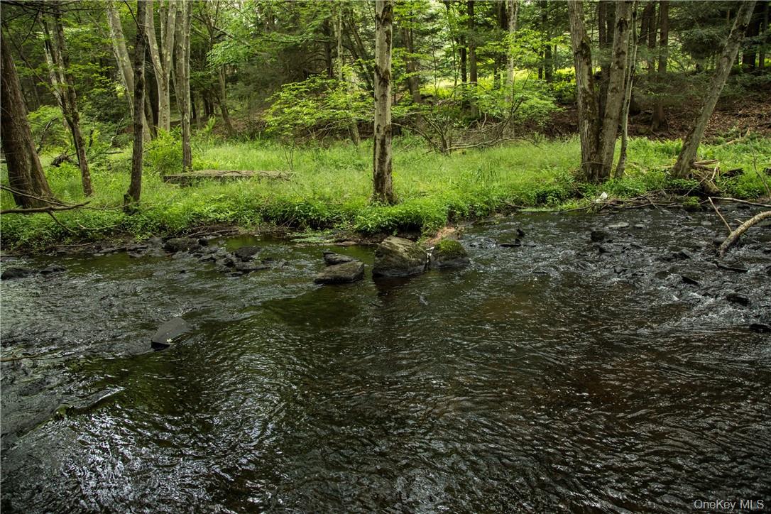 Lot 2 Chapin Trail – For Sale photo 3