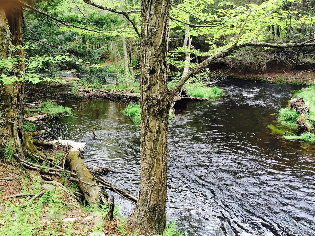 Lot 2 Chapin Trail – For Sale photo 4