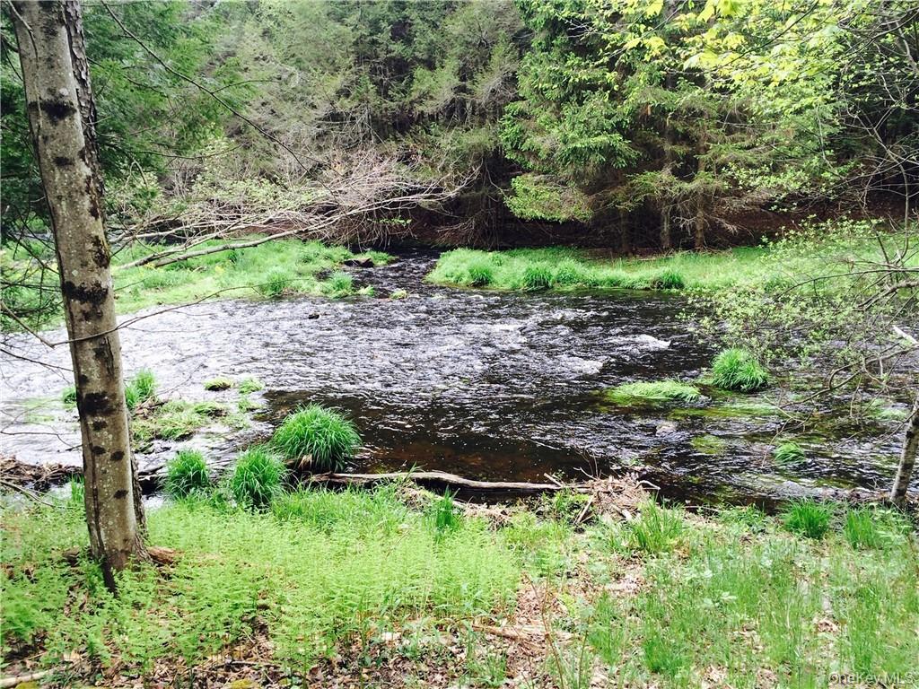 Lot 2 Chapin Trail – For Sale photo 2
