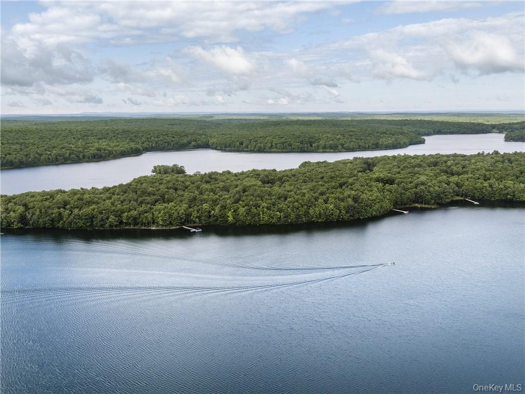 Lot 2 Chapin Trail – For Sale photo 11