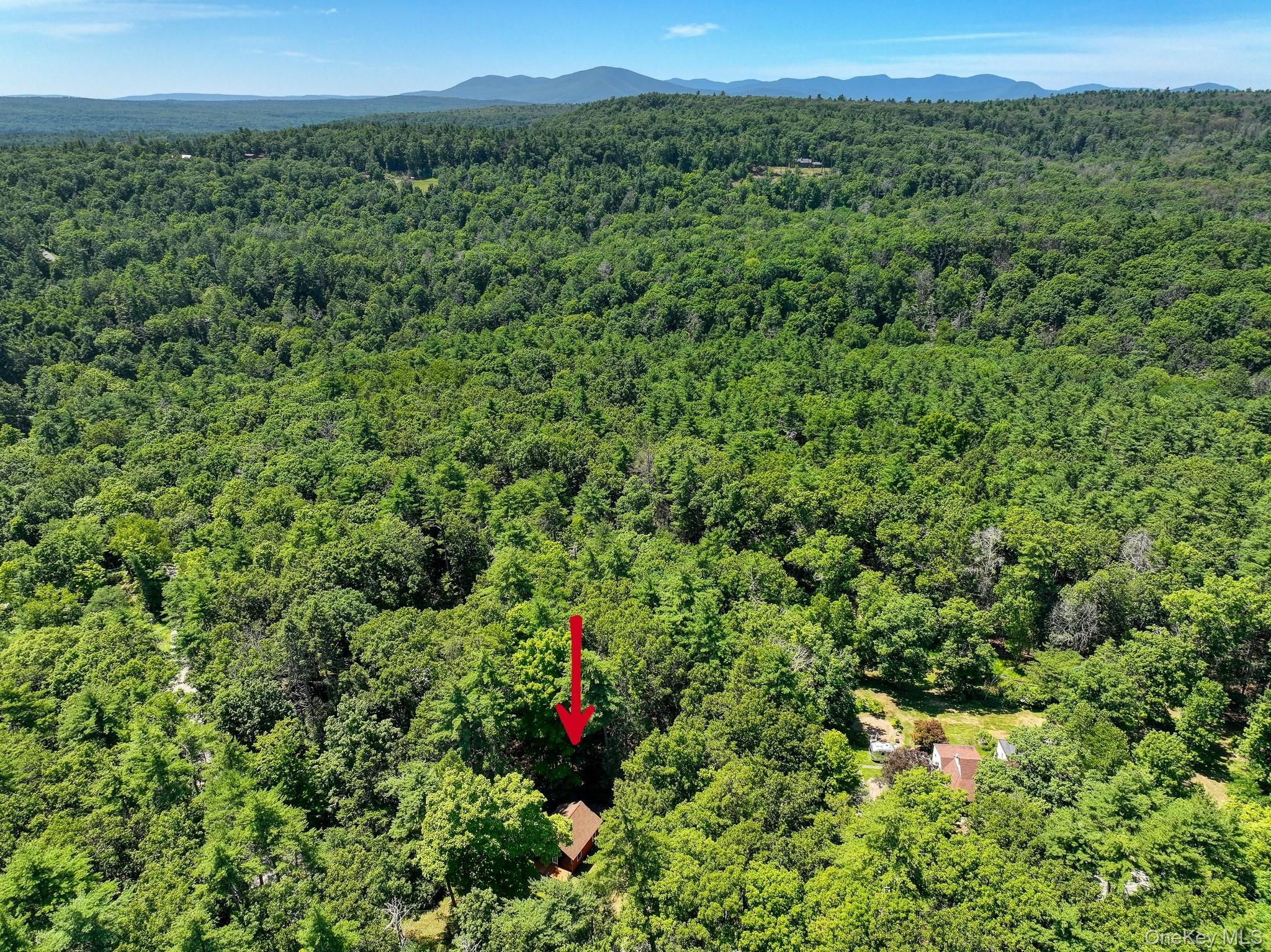 234 Canary Hill Road – For Sale photo 42