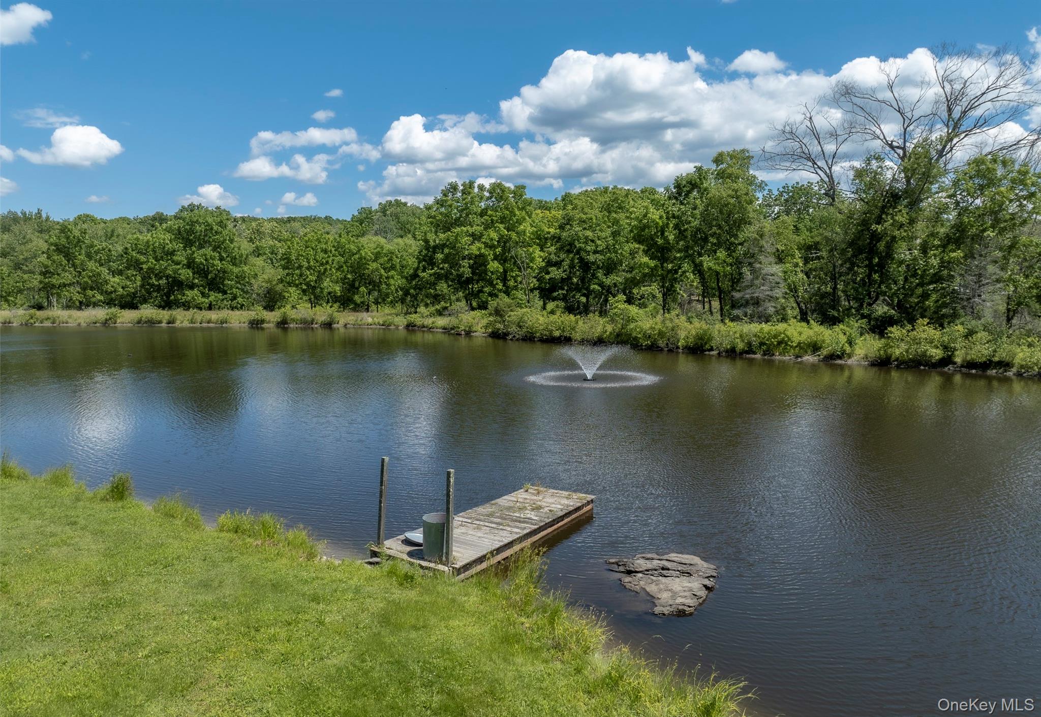 1197 Bulls Head Road – For Sale photo 8