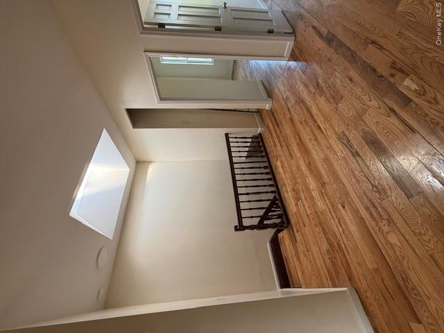 253 Eldert Street, Unit #3 photo 5