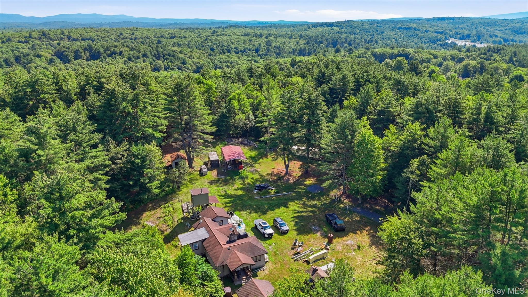 7300 State Route 52 – For Sale photo 4