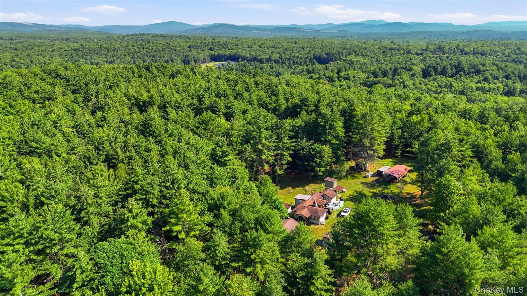 7300 State Route 52 – For Sale photo 13