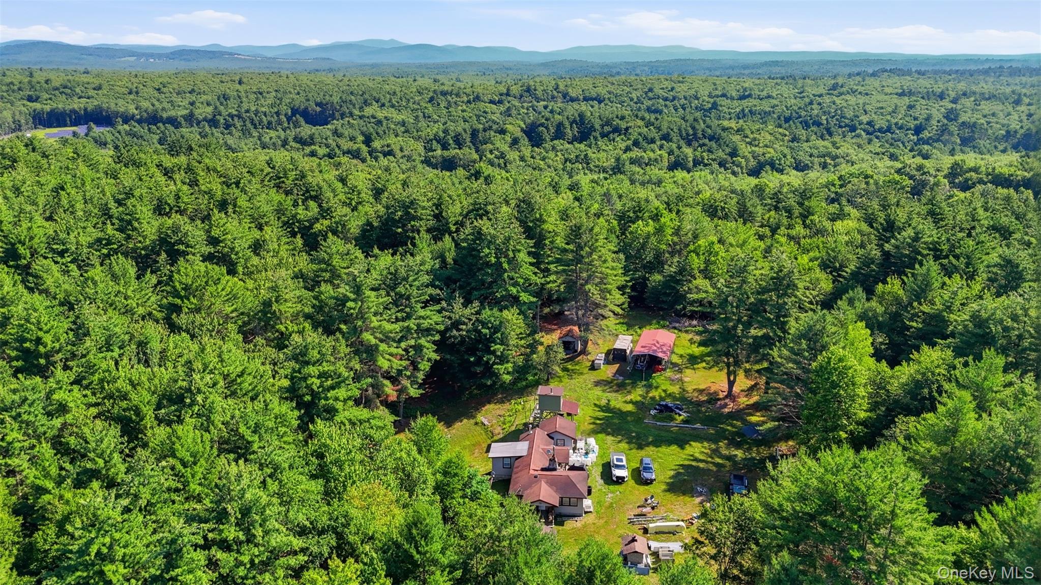 7300 State Route 52 – For Sale photo 3