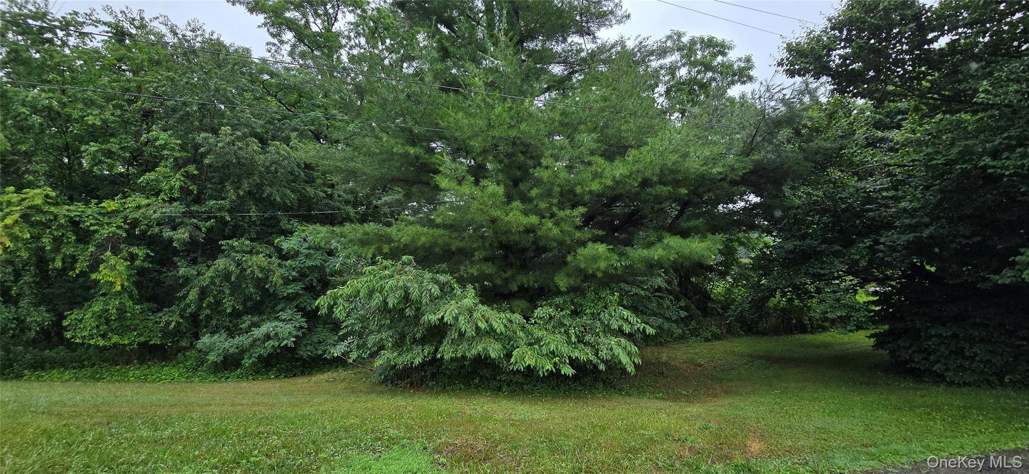 Calvin Drive – For Sale photo 6