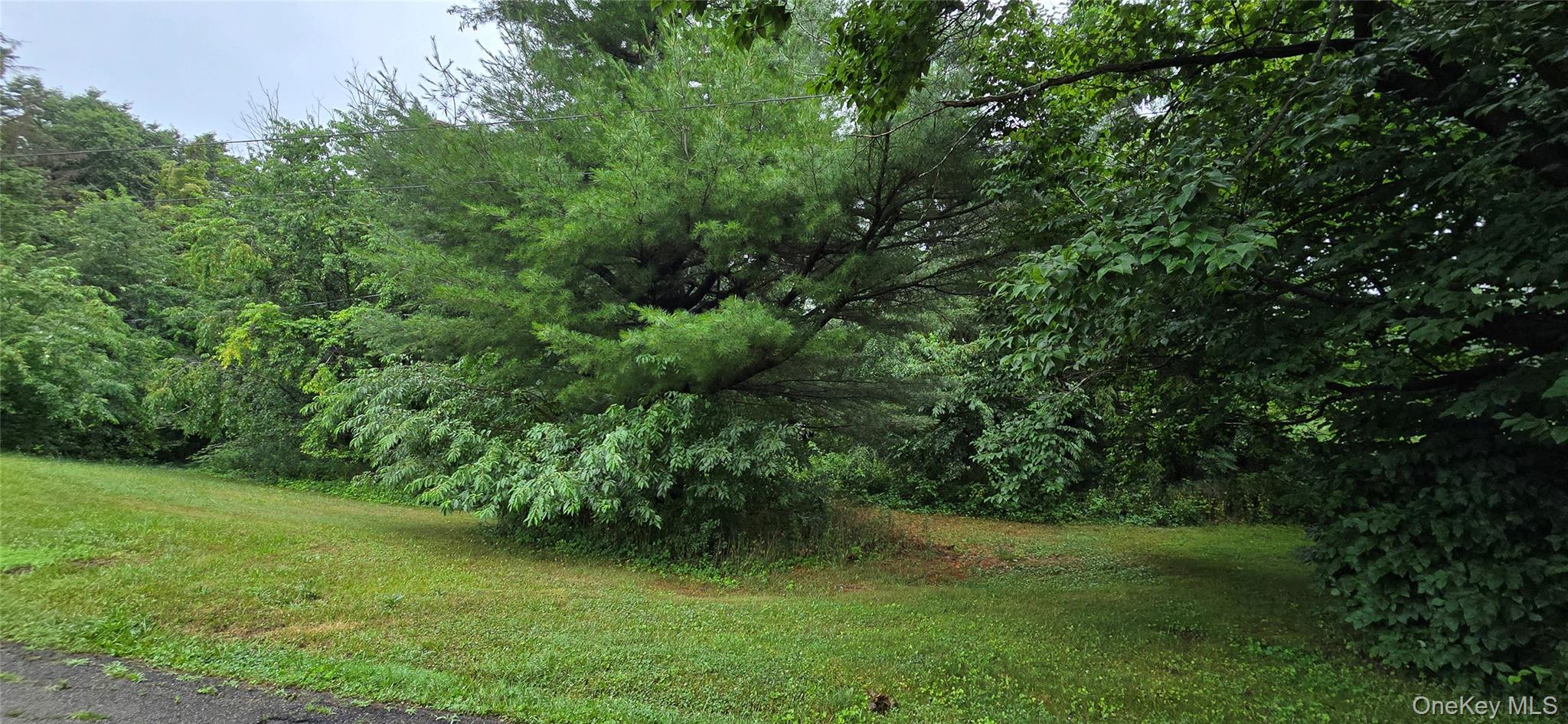 Calvin Drive – For Sale photo 3