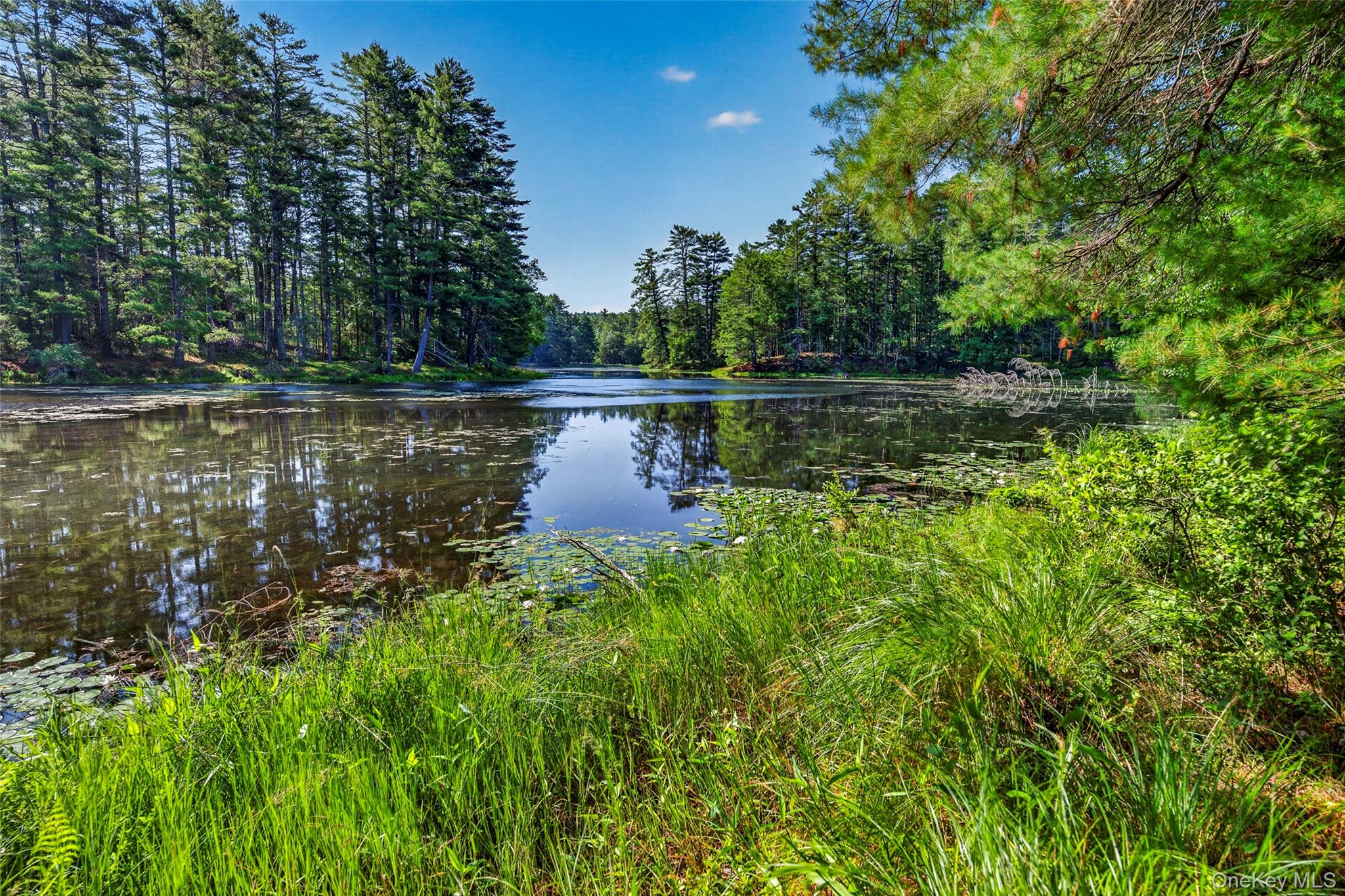 80 Beaver Brook Road – For Sale photo 4