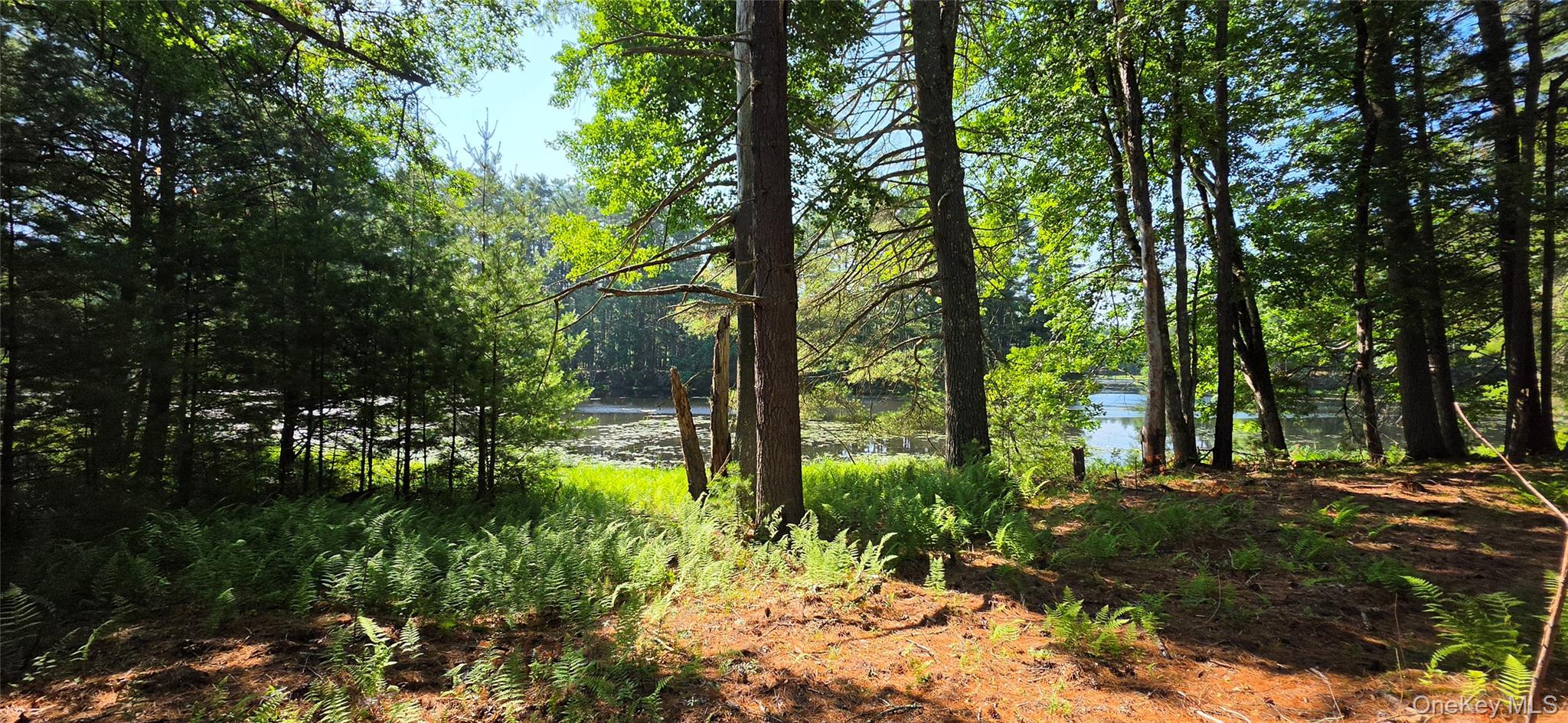 80 Beaver Brook Road – For Sale photo 21