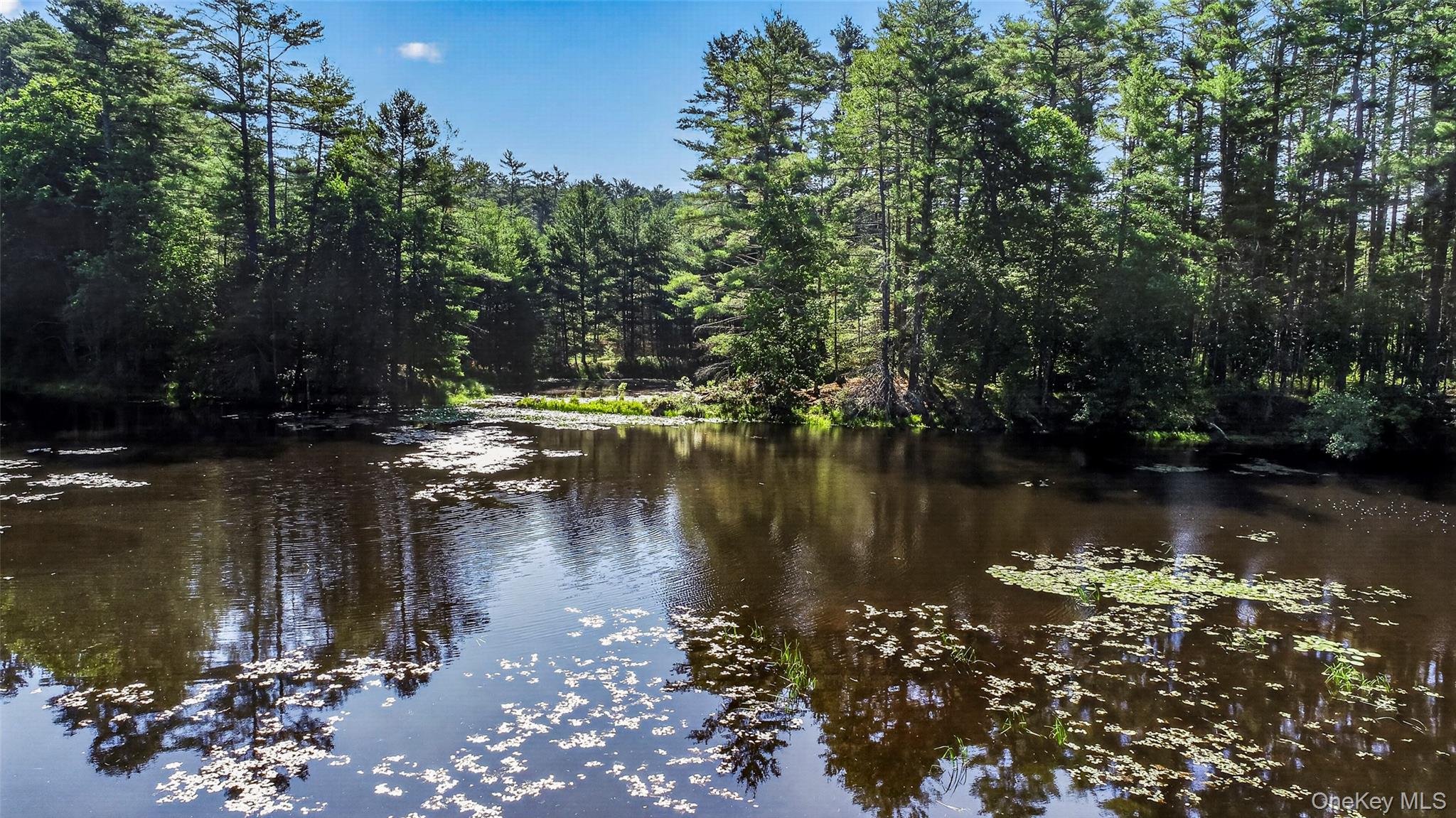 80 Beaver Brook Road – For Sale photo 29