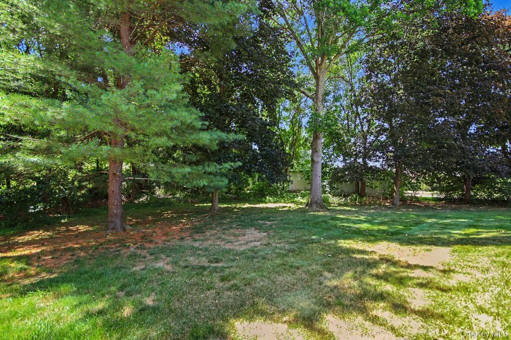 101 Elmcrest Drive – For Sale photo 35
