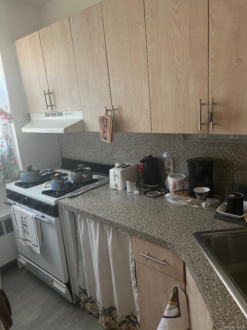 155-24 84th Street, Unit 1L photo 6