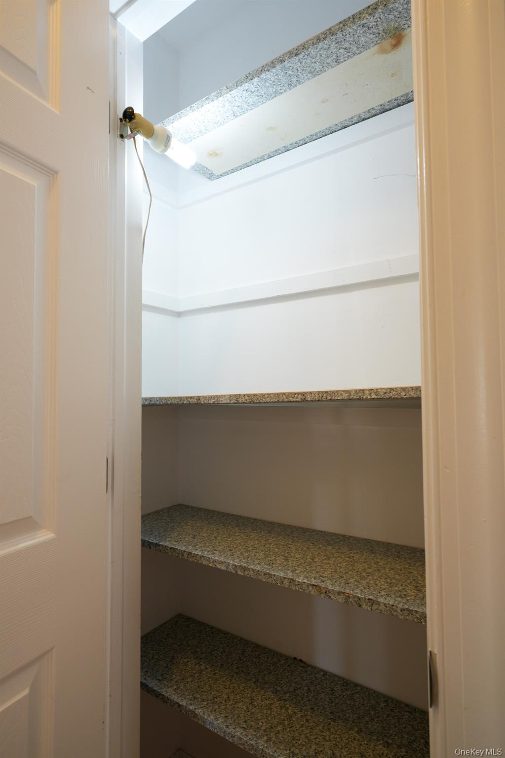 59 Troy Avenue, Unit upper photo 17