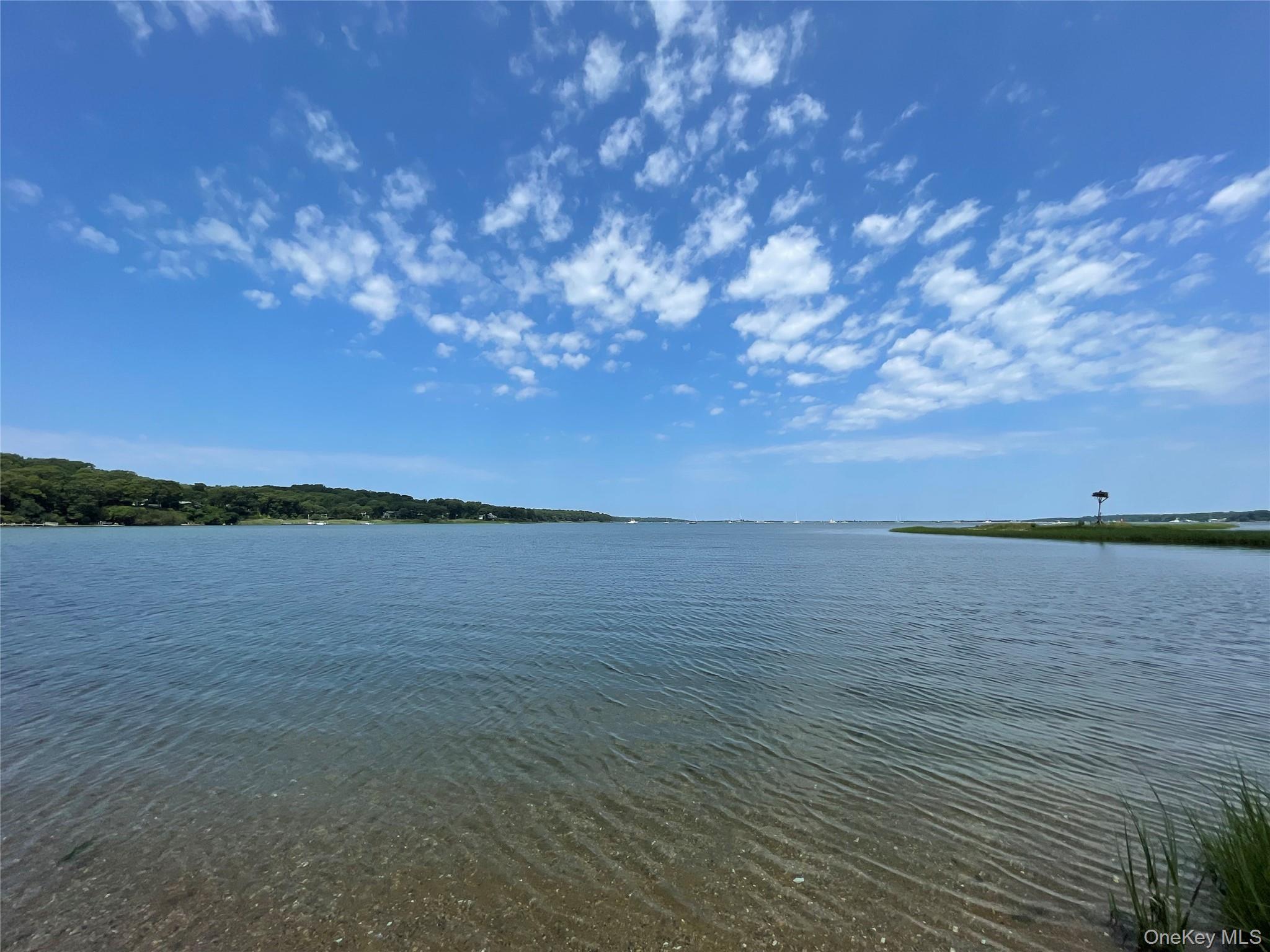7 Albertines – For Sale photo 22