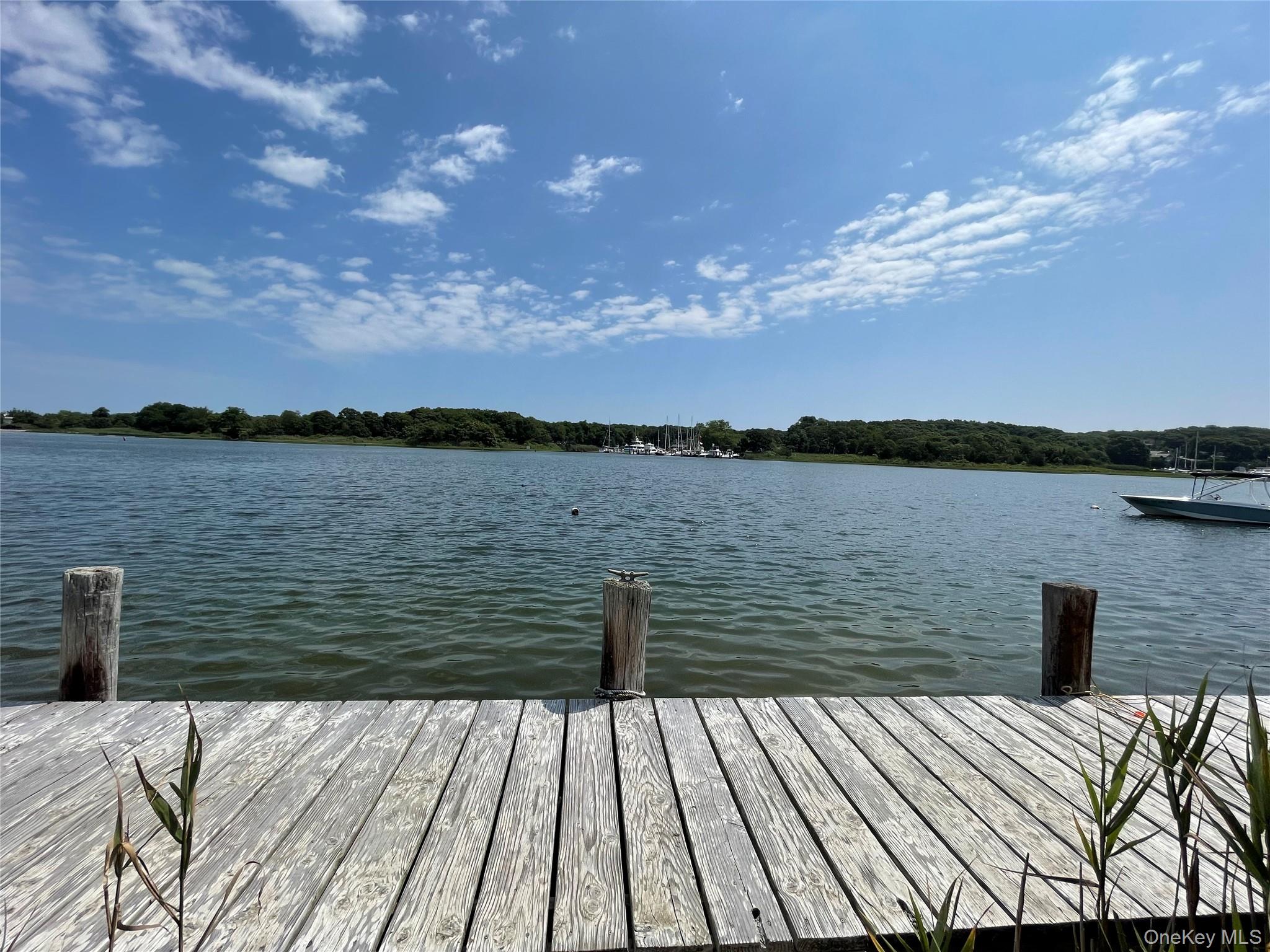 7 Albertines – For Sale photo 13
