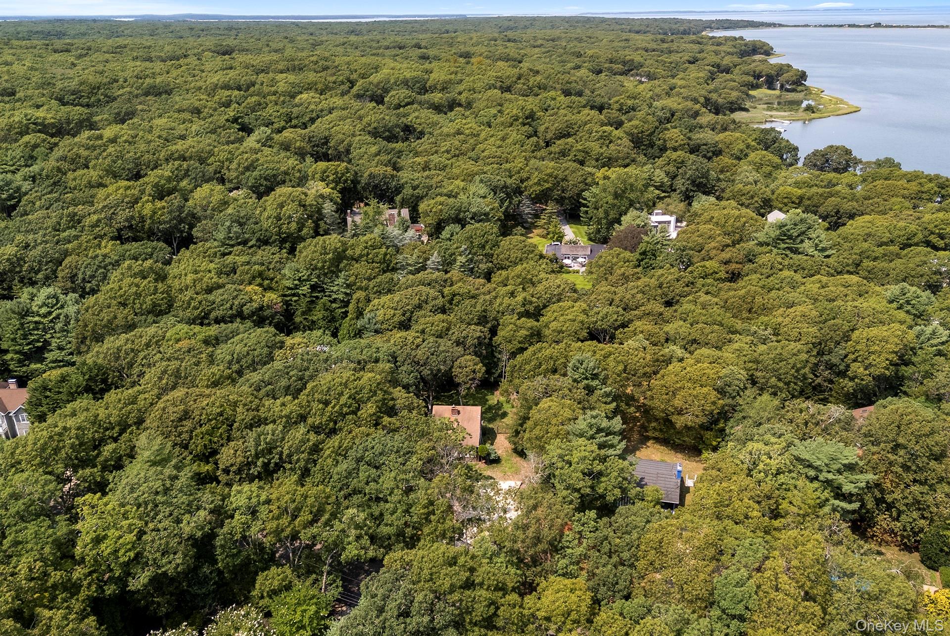 7 Albertines – For Sale photo 11