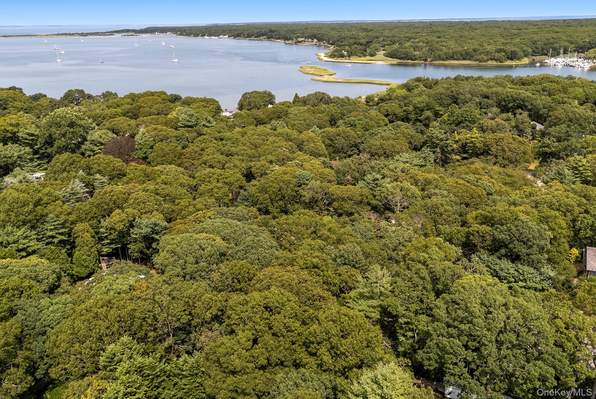 7 Albertines – For Sale photo 17