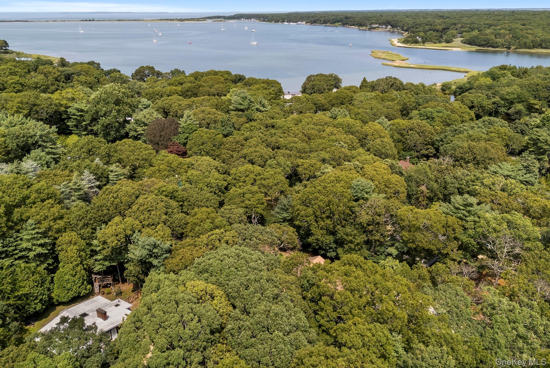 7 Albertines – For Sale photo 5