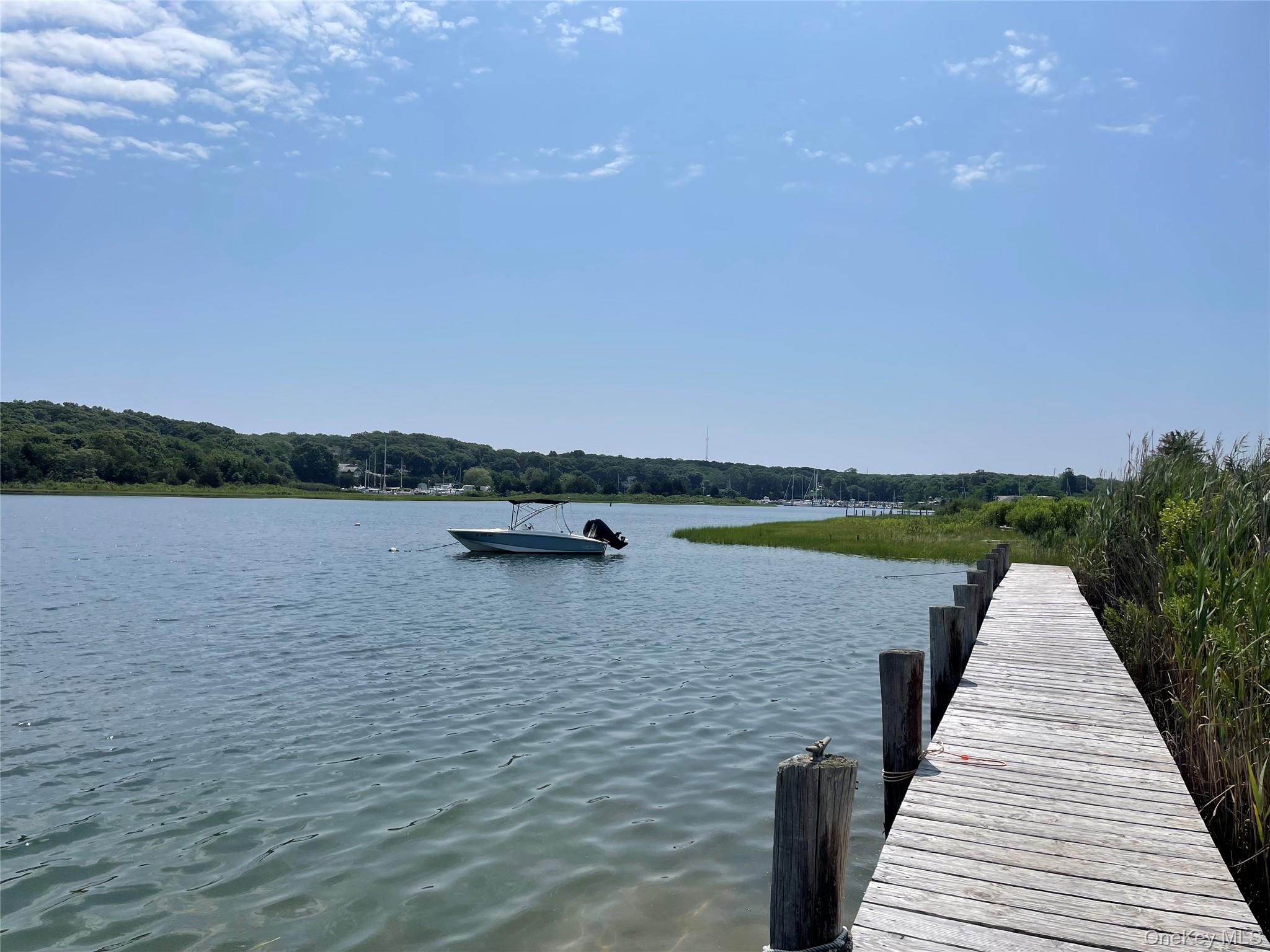 7 Albertines – For Sale photo 19