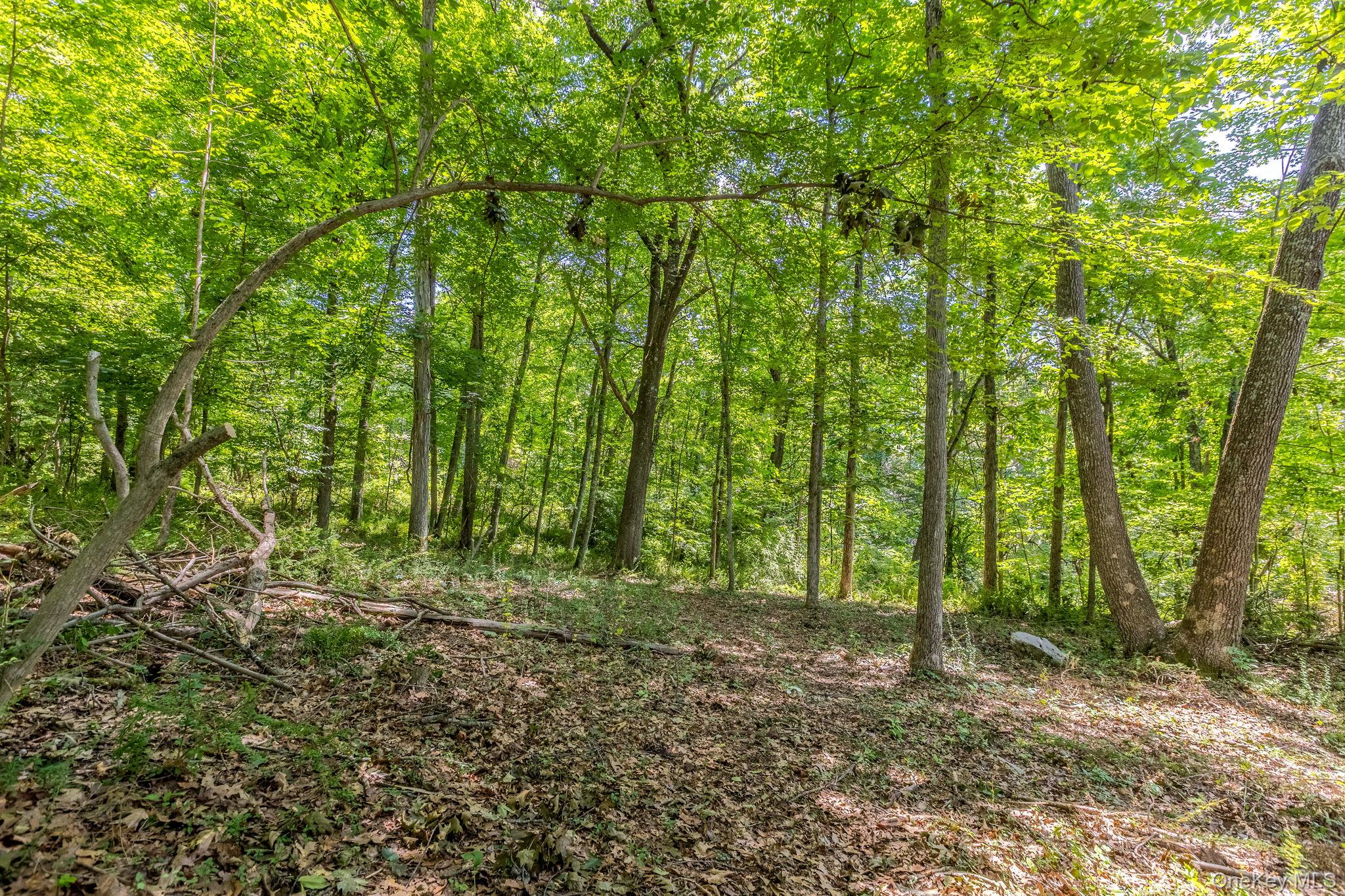 Woodin Lane – For Sale photo 4