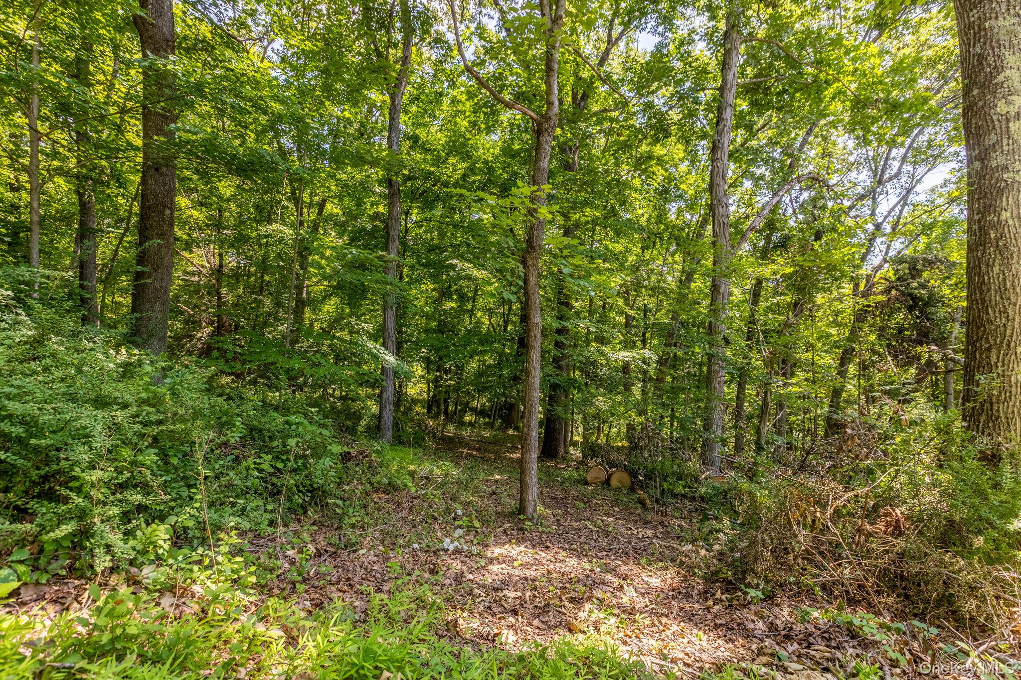 Woodin Lane – For Sale