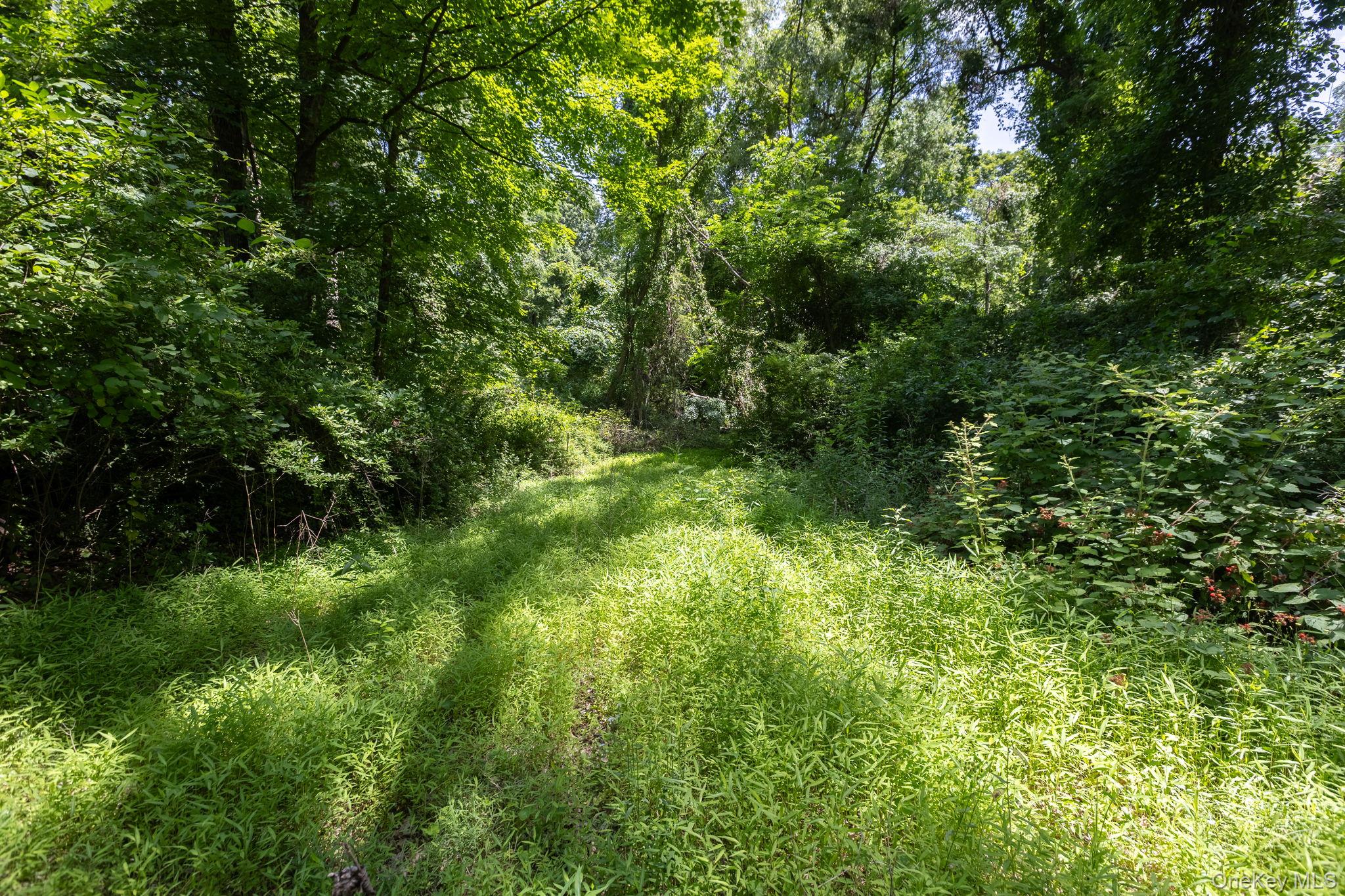 Woodin Lane – For Sale photo 5