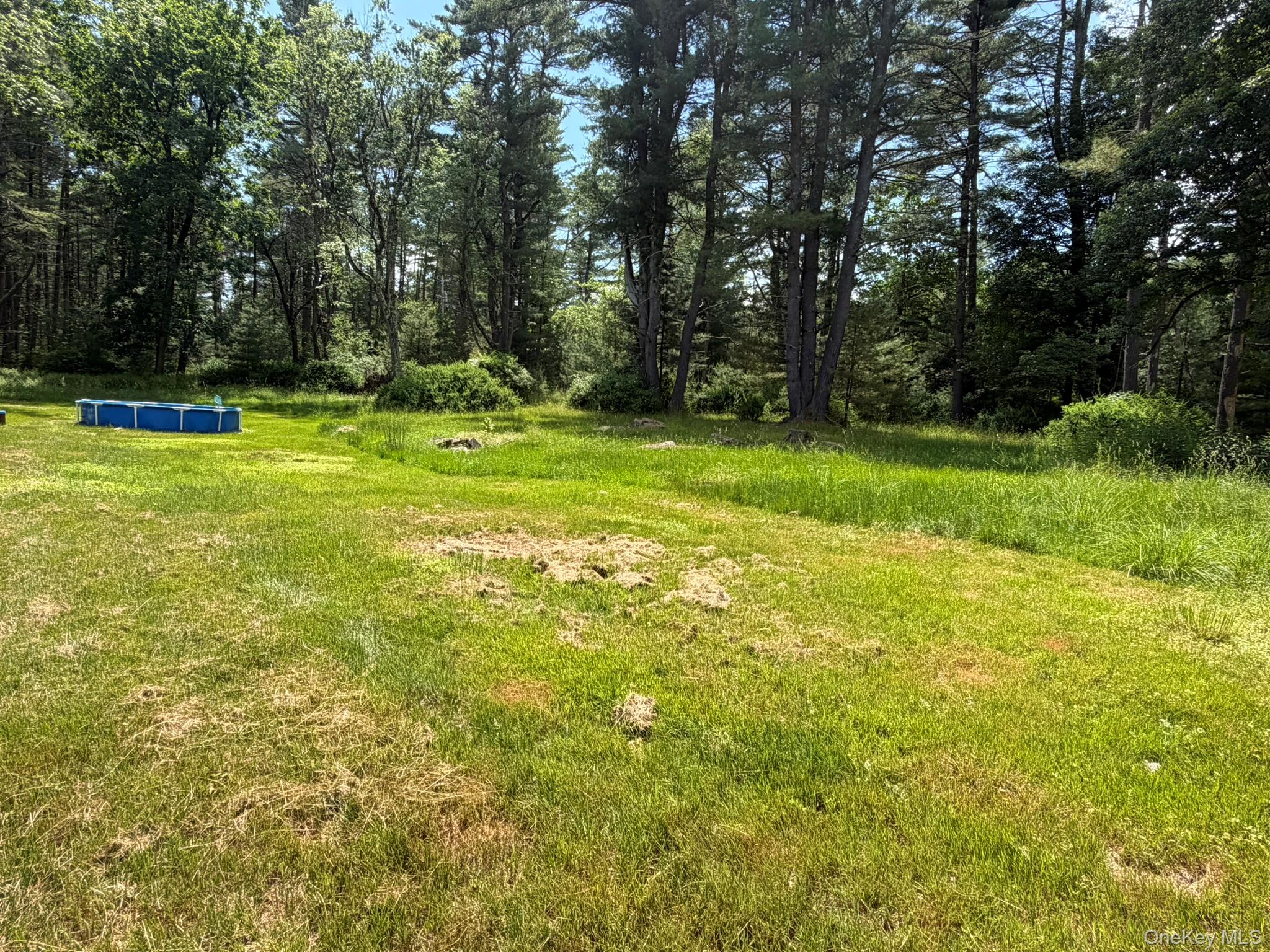 5 Steges Road – For Sale photo 6