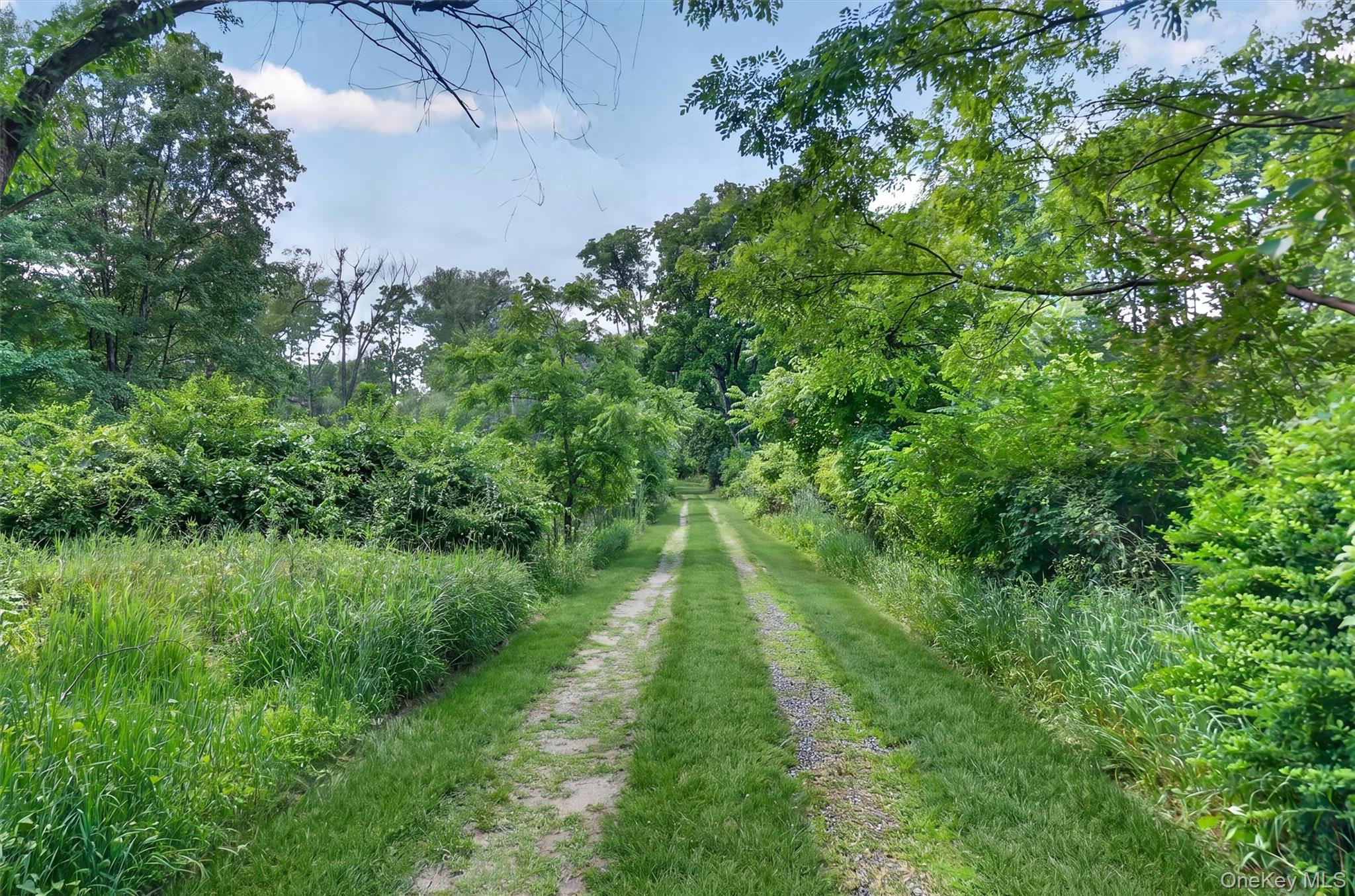 262 Linden Avenue – For Sale photo 6