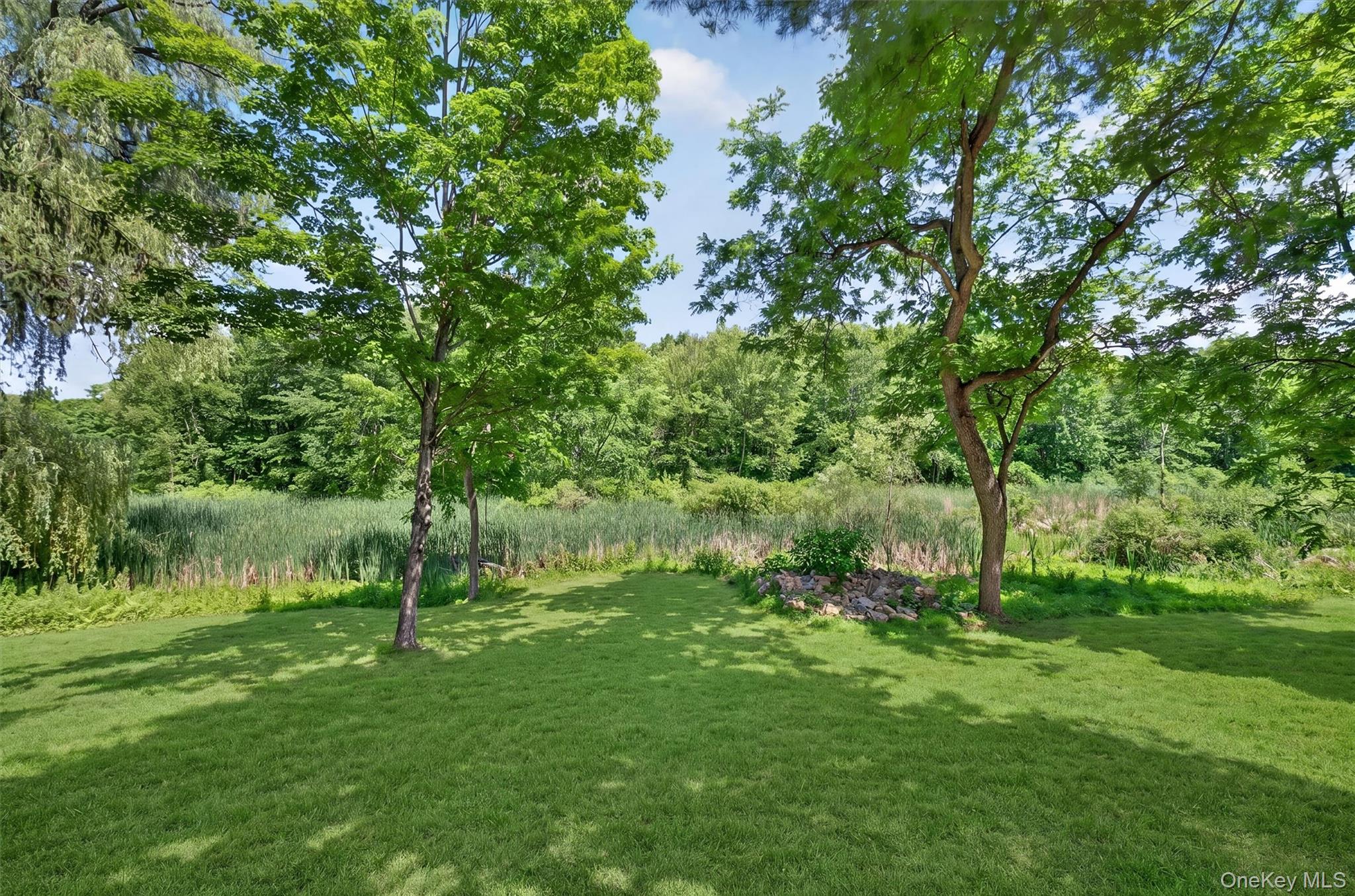 262 Linden Avenue – For Sale photo 35