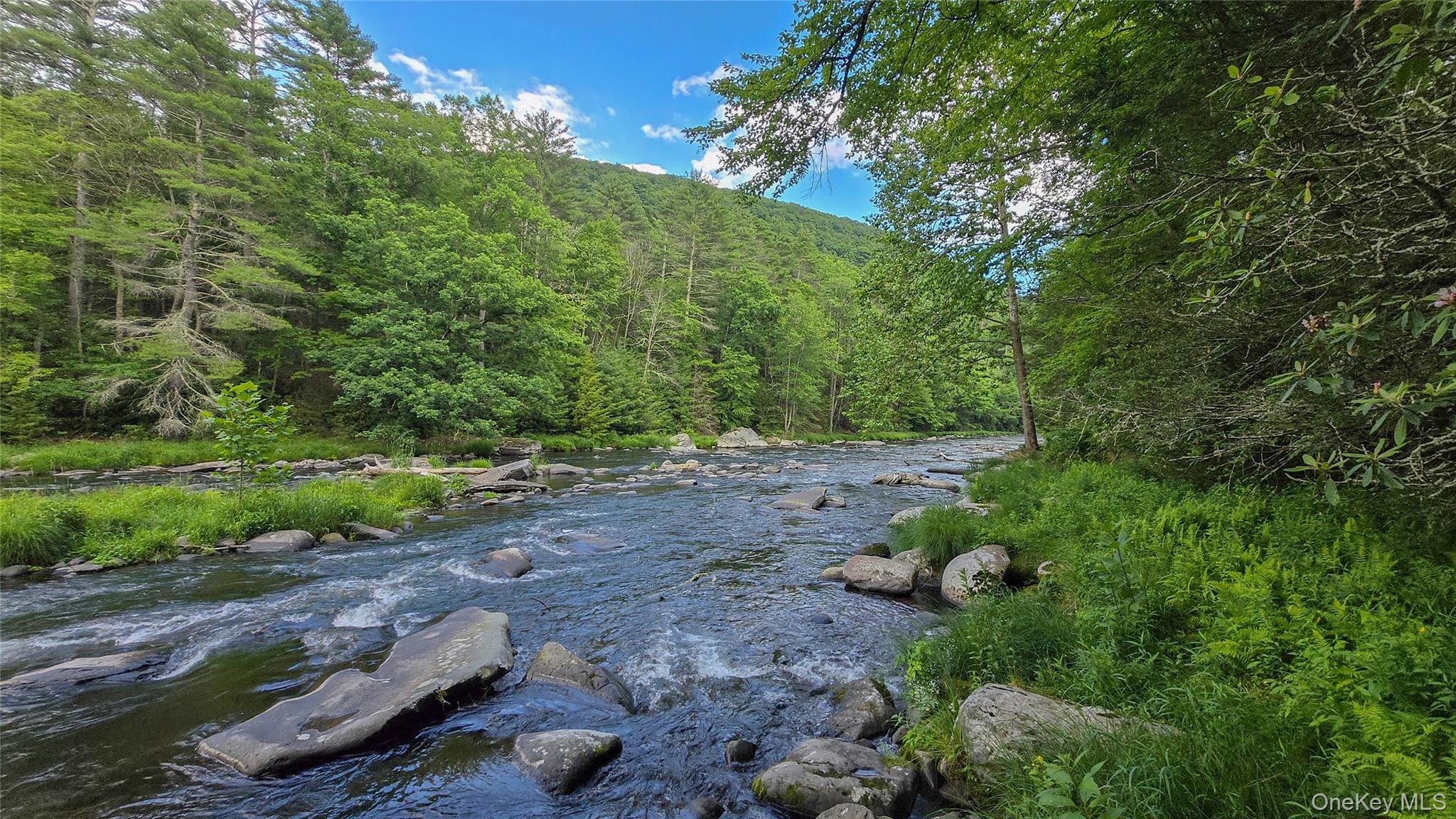 225 Hatchery Road – For Sale photo 9