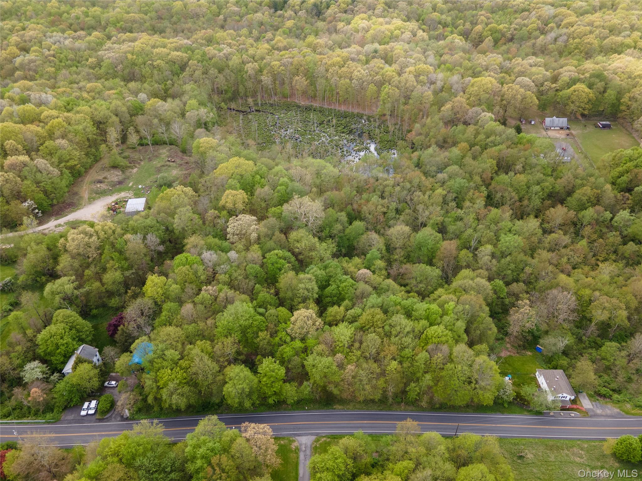 217 Tuckers Corners Road – For Sale photo 16